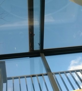 Freestanding Box Rooflight - Glazing Vision Europe NL