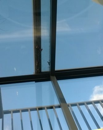 Freestanding Box Rooflight - Glazing Vision Europe NL