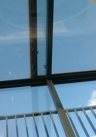 Freestanding Box Rooflight - Glazing Vision Europe NL