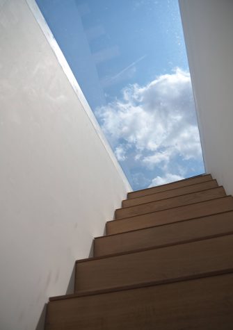 Skydoor Hinged Acces Rooflight - Glazing Vision Europe