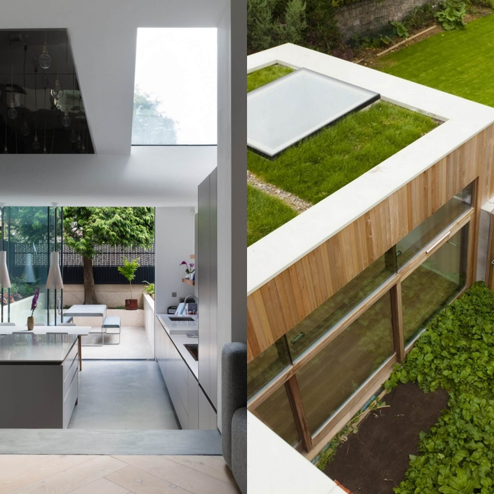 Example rooflight green roof