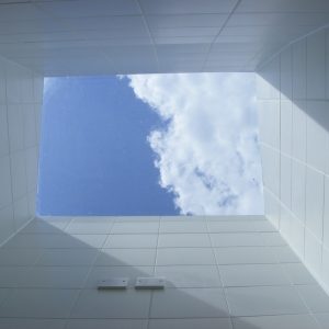 Sky Only View Rooflight