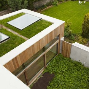 Green roof rooflight