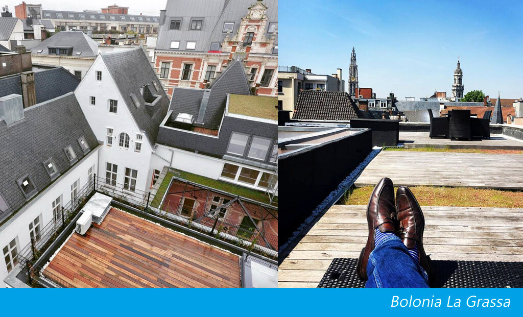 Roof terrace Antwerp